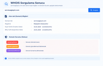 Domain Durum Kodları Nelerdir