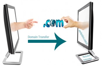 Domain Transfer İşlemleri Domain Transfer İşlemleri