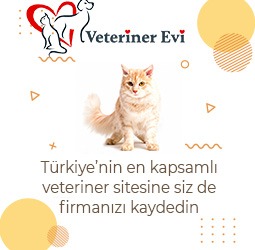 Veteriner Evi Veteriner Evi